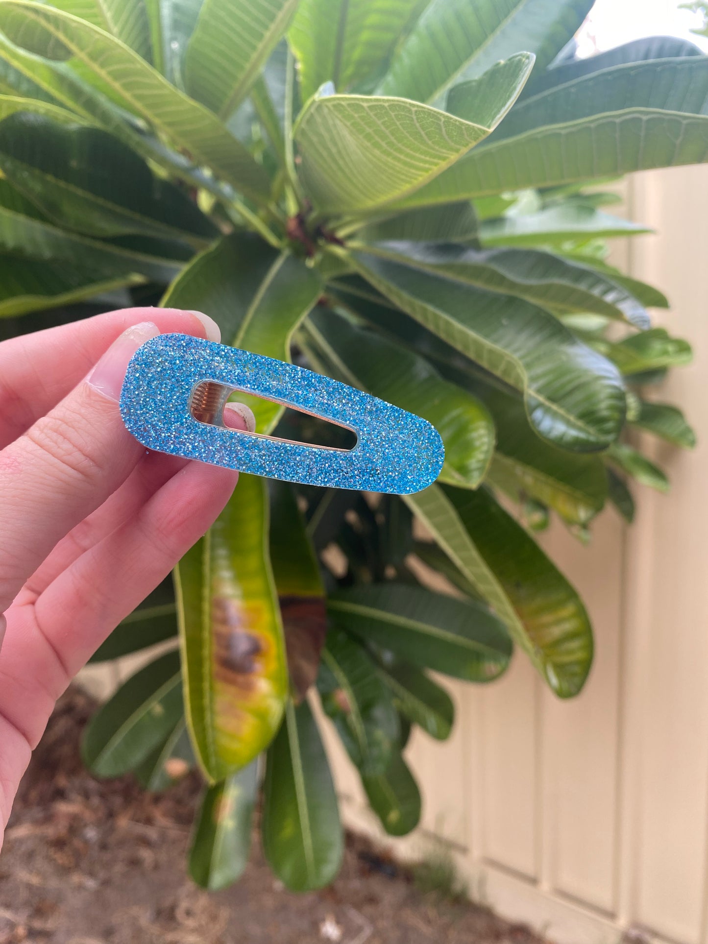 Hair Clips