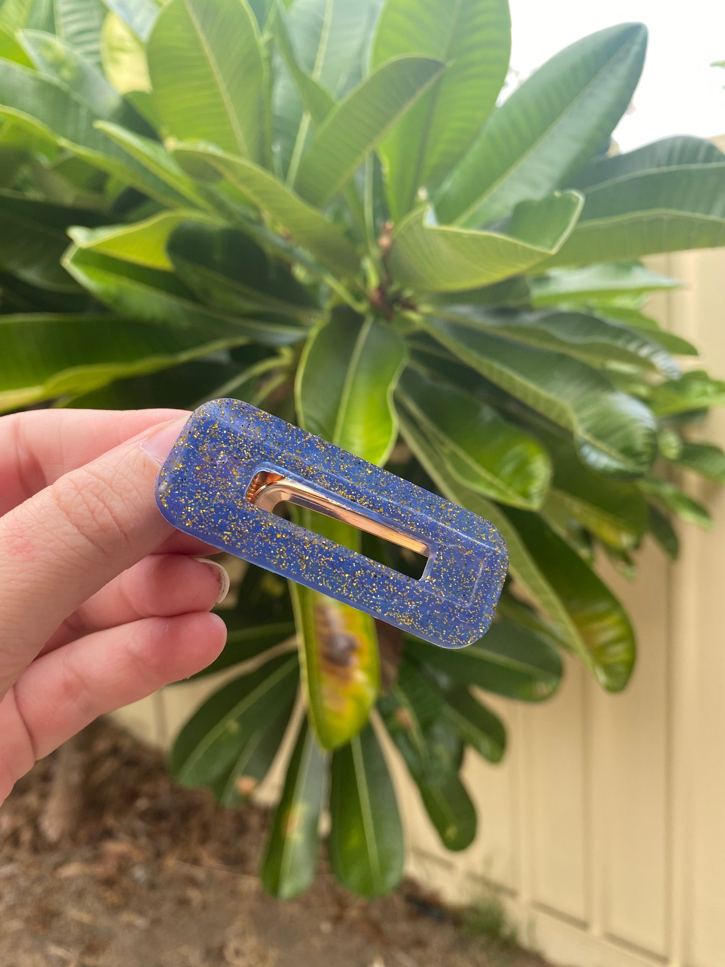 Hair Clips