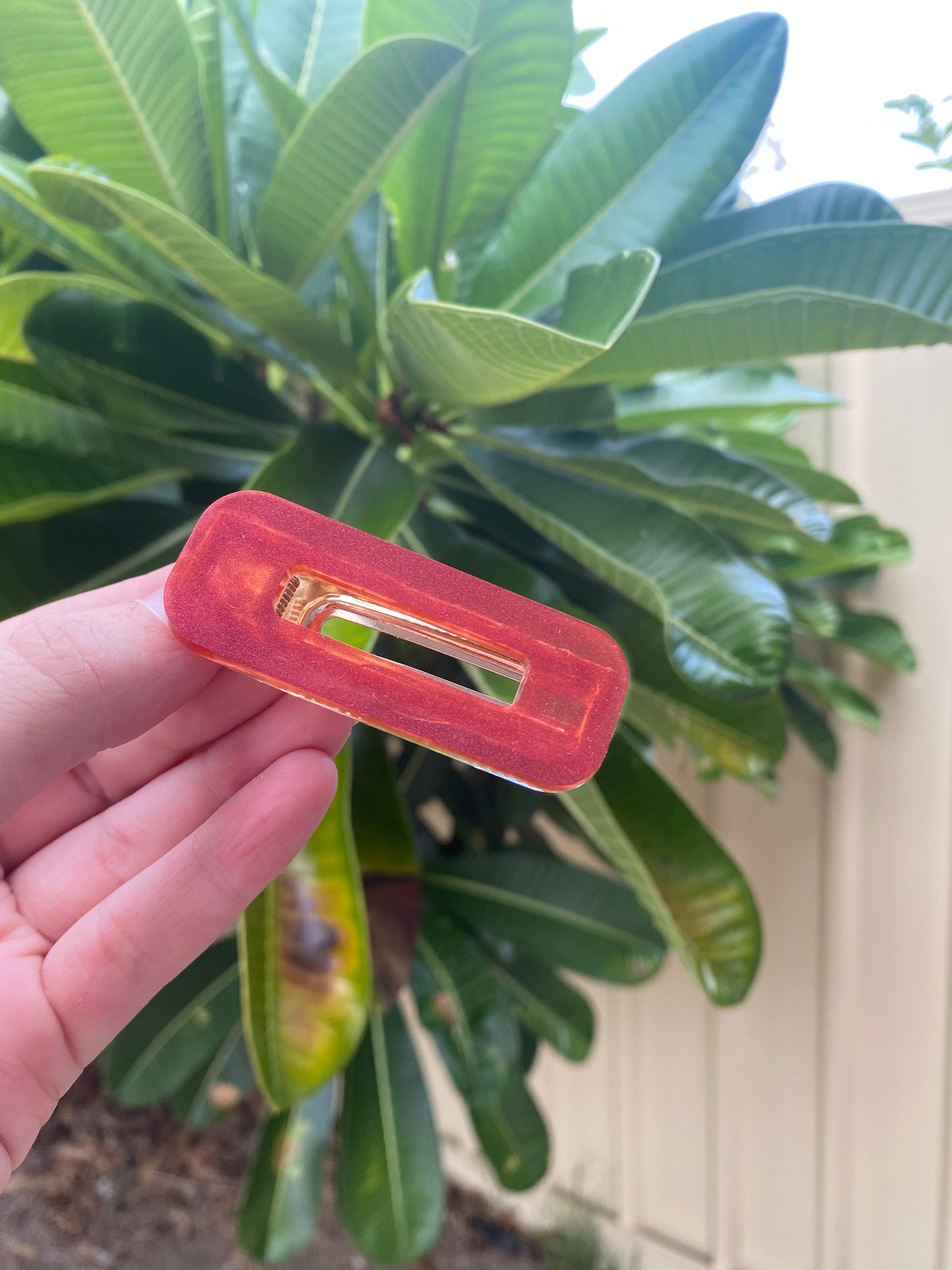 Hair Clips